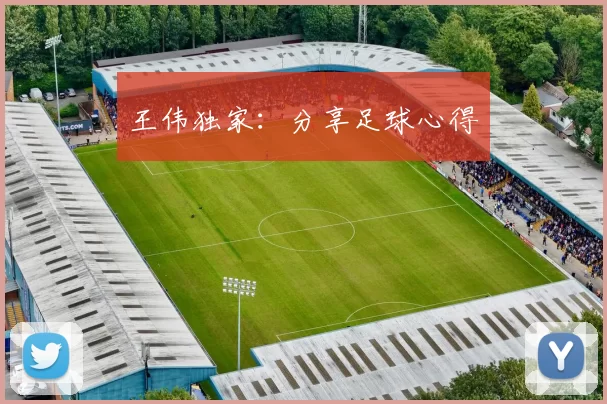王伟独家：分享足球心得