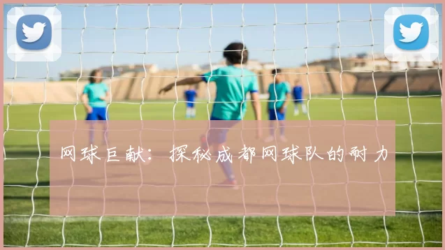 网球巨献：探秘成都网球队的耐力