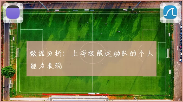 数据分析：上海极限运动队的个人能力表现