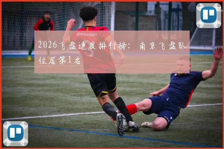 2026飞盘速度排行榜：南京飞盘队位居第1名