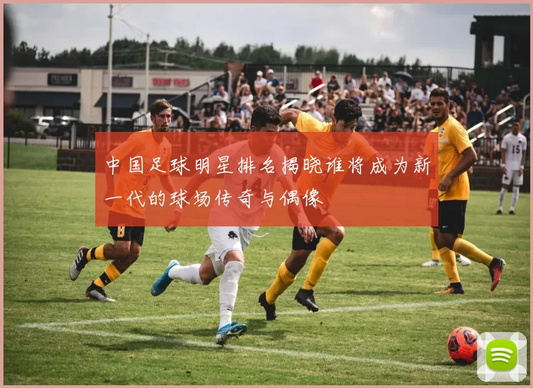 中国足球明星排名揭晓谁将成为新一代的球场传奇与偶像