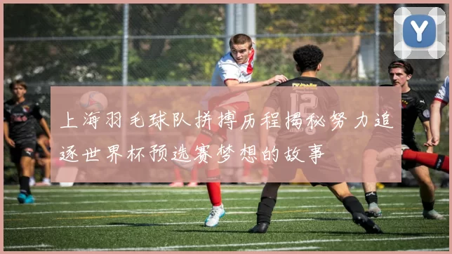 上海羽毛球队拼搏历程揭秘努力追逐世界杯预选赛梦想的故事