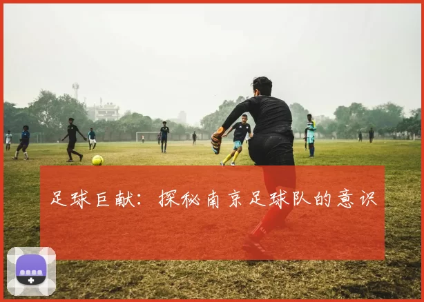 足球巨献：探秘南京足球队的意识